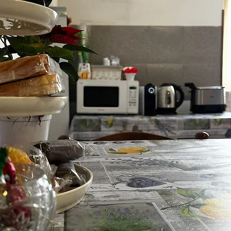 La casa di Elvis-3
